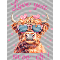 Valentine's Day-QRJ  5294